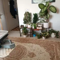 یک دستگاه اپارتمان در ۱۷ شهریور|اجارهٔ آپارتمان|نیشابور, هفده شهریور|دیوار