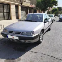 زانتیا بی رنگ