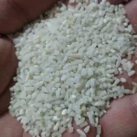 نیمدانه هاشمی بشرط پخت