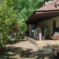 اجاره مسکونی در رشت