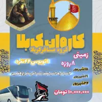 کربلازمینی ۸روزه