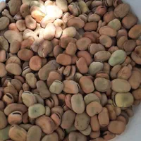 باقالی تر وتمیز پاک کرده