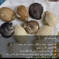 بخت و مشاوره ازدواج و|خدمات پذیرایی، مراسم|اهواز, اهواز|دیوار