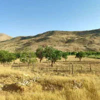 فروش زمین چندمنظوره لب جاده پاتاوه-دهدشت|فروش زمین و ملک کلنگی|دهدشت, |دیوار