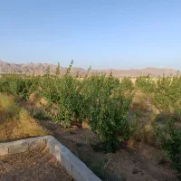 فروش زمین ۱۰۰۰ متری