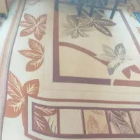 فروش یک عددگلیم ۹متری ویک عددفرش راهرو کناره مناسب