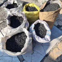 کربن پسته