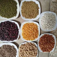 حبوبات اقتصادی