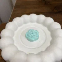 جا عودی مرواریدی|صنایع دستی و سایر لوازم تزئینی|ساری, |دیوار