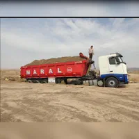 تریلی کود گاوی نیروی طلایی انفجار برداشت پسته