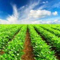فروش انواع بذر و کود و سم برای کشاورزان|خدمات باغبانی و درختکاری|تهران, باغ فیض|دیوار