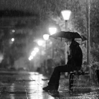 مدارک گم شده نقیب الله کریمی و سعید شمس آرا