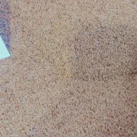 خشکبار|خوردنی و آشامیدنی|تاکستان, |دیوار