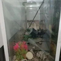 آکواریوم بزرگ