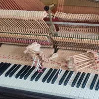 پیانو آکوستیک کوک و رگلاژ|پیانو، کیبورد، آکاردئون|قزوین, |دیوار