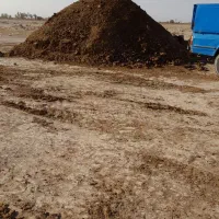 خرید و فروش کود حیوانی