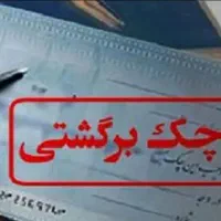 کاراگاه خصوصی، پیگیری دزدی و چک برگشتی