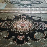 ۴عدد فرش ۶متری نو در اشتهارد|فرش|اشتهارد, |دیوار