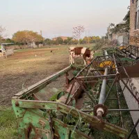 کمباین|خودرو سنگین|سیجوال, |دیوار