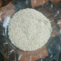 فروش برنج چمپا