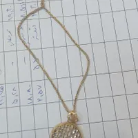 گمشده زنجیر و پلاک