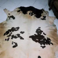 پوست چرم  گاو|فرش|تهران, بنیهاشم|دیوار