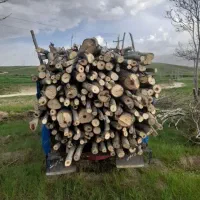 باسلام خریدارگردو سیب صنوبروغیر۰۰۰|خدمات باغبانی و درختکاری|نهاوند, |دیوار