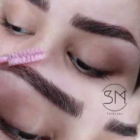 جشنواره آموزش و خدمات فیبروز شیدینگ لب بن مژه و...|خدمات آرایشگری و زیبایی|تبریز, |دیوار