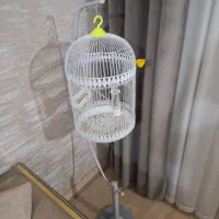 قفس،ایستاده