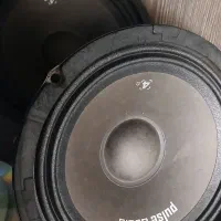 میدرنج باند بیضی پایونیر اصلی