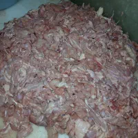 بچه فیله تمیز