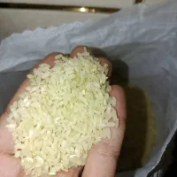 انواع برنج محلی و ایرانی|خوردنی و آشامیدنی|شیراز, شهرک مطهری|دیوار