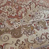 ۱۲متری خوش رنگ|فرش|تبریز, |دیوار