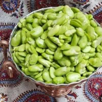 نخودفرنگی باقالی مازندرانی سبزی پیازسیربادمجون