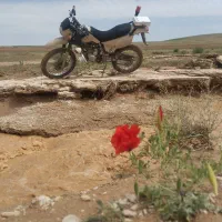 موتور هاتفورد