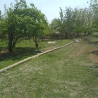 ۵قطعه باغچه ۳۵۰ متری سنددارکنارهم درکرج|فروش زمین و ملک کلنگی|کرج, کلاک پایین|دیوار