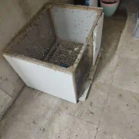 قفس کبوتر.طوطی .عروس.