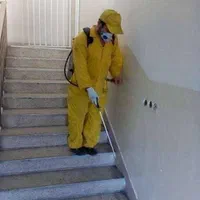 شرکت سم پاشی موریانه زدایی سمپاشی سوسک ساس موش