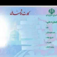 کارت ملی گم شده