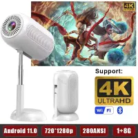 ویدیو پروژکتور  پایه دار