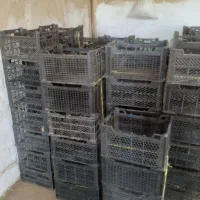 جعبه