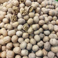 فندق و پسته زعفران تخفیف ولادت بی بی دوعالم مهرگان|خوردنی و آشامیدنی|قزوین, |دیوار