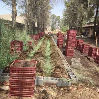 کرم کشاورزی|خدمات باغبانی و درختکاری|شیراز, گود خزینه|دیوار