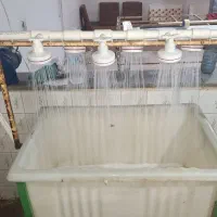 مخزن شستشو شامل پمپ آب یک اسب یک عدد وان با پایه