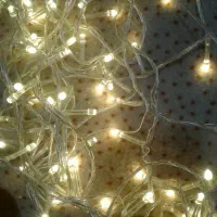 ریسه ده متری و چند مدل خاموش روشن میشخ