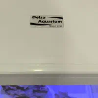 آکواریوم دلسا مدل k390|ماهی|کرج, ساسانی (قلمستان)|دیوار