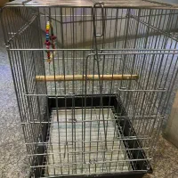 قفس پرنده|لوازم جانبی حیوانات|شیراز, شهرک ولیعصر|دیوار