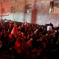 جوجه مرغ طاقچه خروس گلپایگان جهادی مشکی محلی۸۰روزه|حیوانات مزرعه|مشهد, كنويست|دیوار