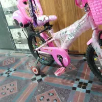 دوچرخه ۱۲و۱۶|دوچرخه، اسکیت، اسکوتر|آشخانه, |دیوار