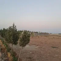 زمین۳۵۰ متری چسب بافت سهیلیه زعفرانیه اقبالیه|فروش زمین و ملک کلنگی|کرج, گلشهر|دیوار